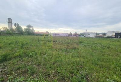 Teren intravilan de vanzare in Campina - 2