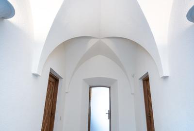 Historical villa Gradina Icoanei area - 52