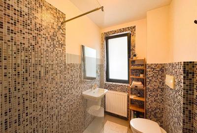 Apartament de inchiriat 3 camere Herastrau - 10