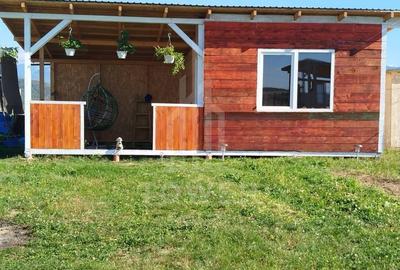 Grădină 862 mp cu cabanuta și pomi fructiferi – între Tălmaciu și Sadu - 4