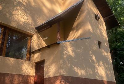 Casă de vancata lângă râu- Provița de Jos - 3