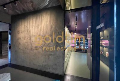 APARTAMENT UNIC/CONCEPT HOUSE/DESIGN/SERVICII HOTELIERECOMPLETE/PRIMAVERII - 45