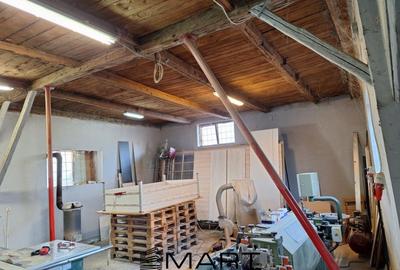 Hala de inchiriat zona Turnisor - 1