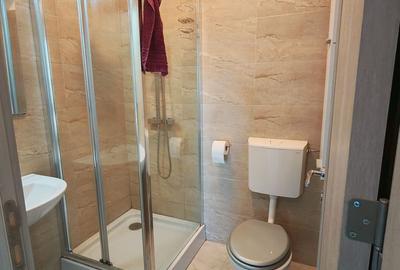 Apartament cu 3 camere extrem de interesant Viscolului-Militari - 13