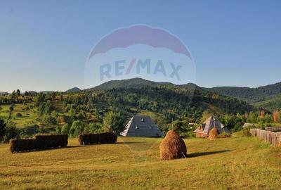 Vanzare 3 case de vacanta si 15750 mp teren, Botiza, Maramures - 2