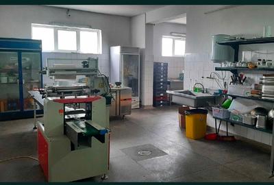 Spațiu producție, depozitare - 2