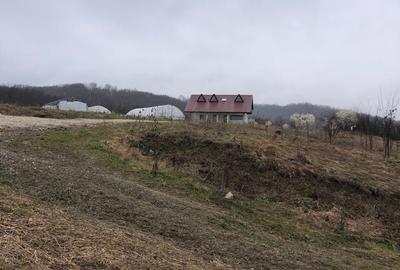 Judetul Valcea  com. Zatreni teren in suprafata 33 ha - 20
