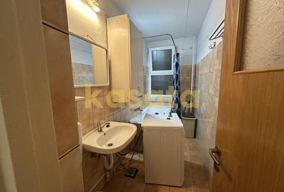 Garsonieră de vânzare | Valea Argesului | Ideală Investiție - 10