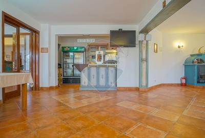 Complex Turistic Panicel, DN73A - 22