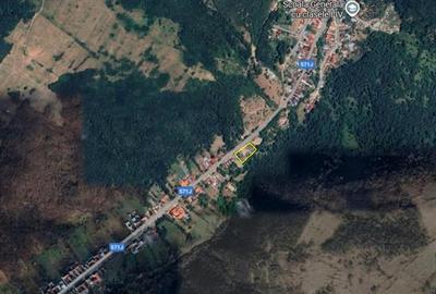 Ciclova, Teren Intravilan cu nr de Casa, 1195mp, La Sosea, ZERO COMISION - 7