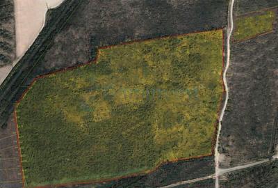 Teren intravilan de vanzare, 9 hectare , 30 km de Oradea, Bihor - 1