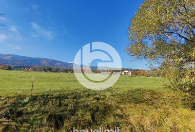 Teren intravilan în Tocile - 39 euro/mp - 4354 m² - 2 fronturi - 4