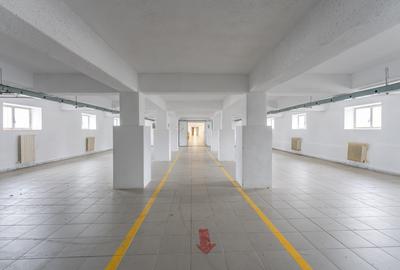 Hala de depozitare si productie - Teliu, Jud. Brasov - 8