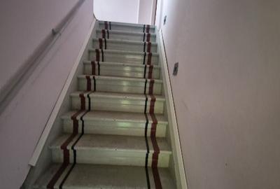 Vila Cotroceni singur in curte - 9
