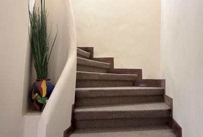 Apartament duplex superb Popa Tatu - Cismigiu - 13