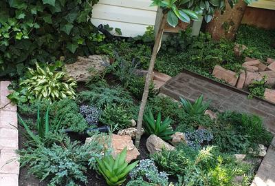 Vila desebita-POPA NAN- O oaza de liniste si verdeata in centrul orasului. - 15