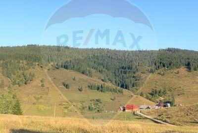 Teren imprejmuit 4914 mp Statiunea Belis-Fantanele, Giurcuta de Sus - 2
