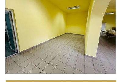 De inchiriat cladire comerciala potential P+M Gradiste Arad - 6