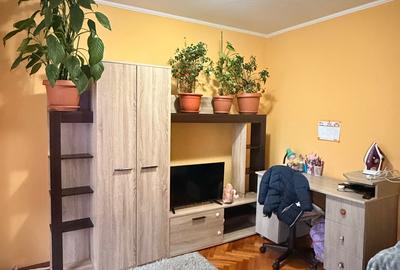 GARII apartament 2 camere etaj 3, bloc izolat, mobilat si utilat! - 9