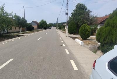 Cavanzare Copacele cu teren 1530 m și o livada - 4