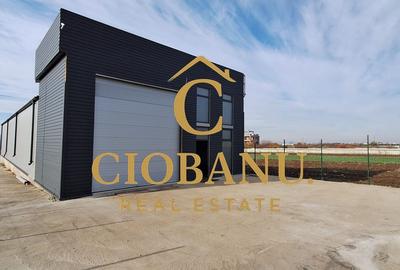 Hala de vanzare in Racari de Jos - 1