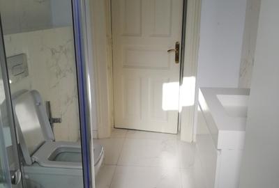 Inchiriere spatiu de birouri intr-o vila interbelica de pe Bulevardul Dacia, - 13