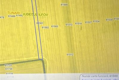 Teren Construcții intravilan de 17000 mp, în Tunari