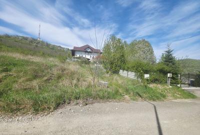 Teren 500mp Zona Fermelor - 4