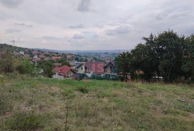 COMISION 0%! Teren constructii 3400 mp, panorama, Dambul Rotund - 2