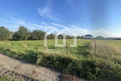 Teren 1450mp, front 16 ml, locatie ideala pt. casa  - Jucu de Mijloc - 2
