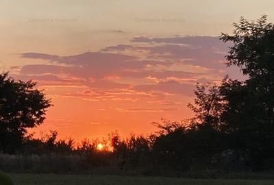 Teren 800mp, in zona Nord Paradisul Verde - 8