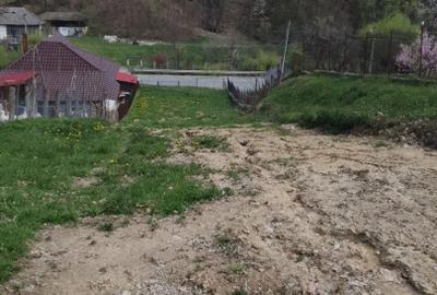 Proprietate deosebită 5000 mp în Slătioara (Vâlcea) – Intabulat cu Pădure - 3