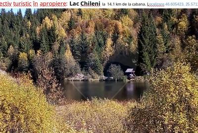 Vânzare teren extravilan, 4 ha pădure, zona turistică Liban, Harghita - 21