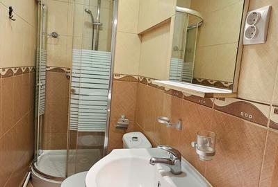 Casa Cenreul Civic-Mesota,mobilata-utilata,500 Euro - 10