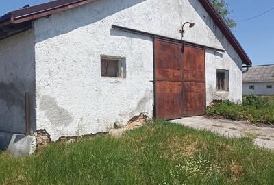 De vânzare spațiu industrial la Ilieni - 4