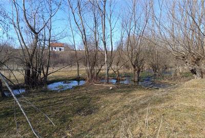 Bran Sohodol,5967mp+teren bonus,intravilan constructii P+E+M,comision0 - 18