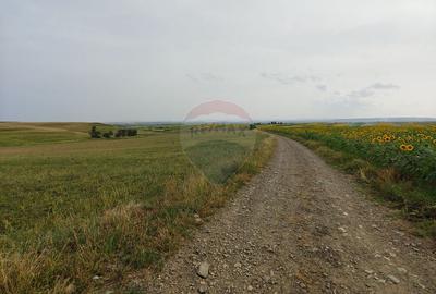 Teren parțial intravilan-300000mp Stroiești-Trei Movile, Suceava - 16