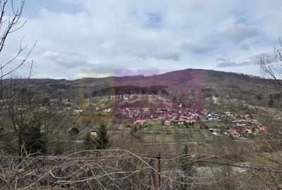 Teren intravilan de vanzare in Valea Doftanei - 8