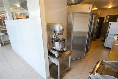 Spatiu comercial I Restaurant 130mp,terasa 136mp, Buna Ziua - 7