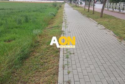 Teren Construcții intravilan de 3636 mp, în Cetate