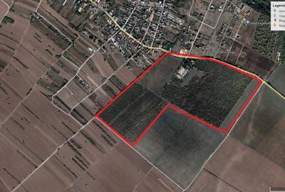 Teren Construcții intravilan de 370000 mp, în Adunații-Copăceni