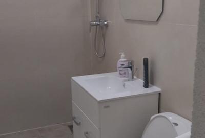 Apartment 2 camere de inchiriat pe Calea Girocului - 3