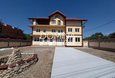 Proprietate complexa P+1+M – *oportunitate business* in Barsesti - 9