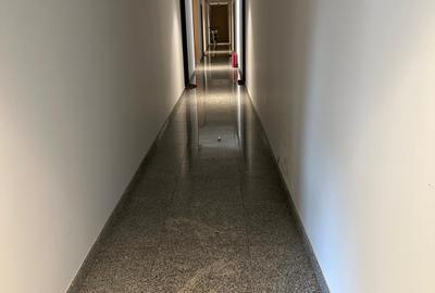 Apartament 2 camere Darwin Residence - 11