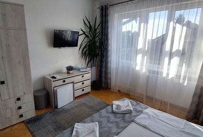 APARTAMENT PREMIUM LA CASA 4 CAMERE SI CURTE | SUB ARINI - 7
