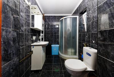 COMISION 0% I Casă + Teren - 3.763 mp I Peciu Nou - str. Principală. - 12