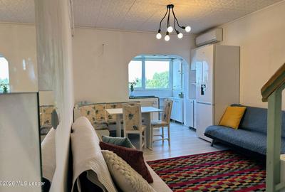 Fizicienilor - Lacramioarei, 3 camere 67 mp, pod 40 mp, modernizat - 3
