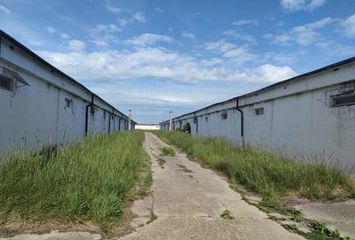 Spatiu productie/ depozitare, 600 mp, Brasov - Bod. - 1