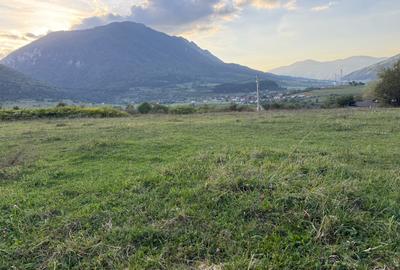 Teren intravilan 500 sau 1000 mp Bran-Tohanita la dum asfaltat - 5