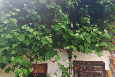 Casa 4 camere libera la vanzare RASNOV - zona Mihai Eminescu - 23